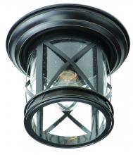  5128 ROB - Chandler 11-In. Dia. Metal and Glass Outdoor Flush Mount Ceiling Light with Open Base
